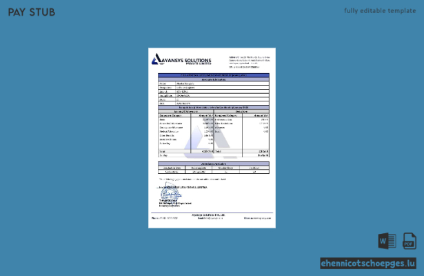 Beispielvorschau des Softwareunternehmens Ayansys Solutions